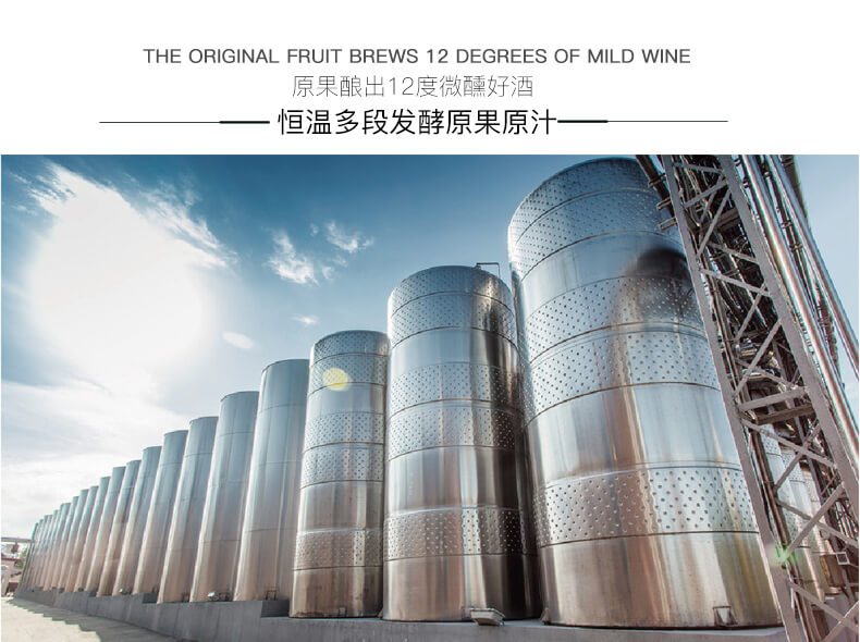 恒溫多段發(fā)酵原果原汁
