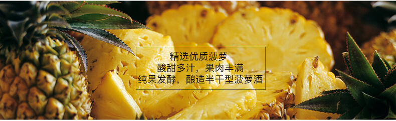純果發(fā)酵，釀造半干型菠蘿酒