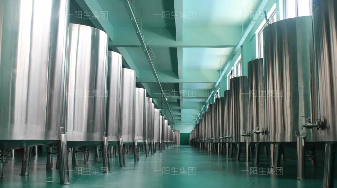 一陽生再獲新專利！專注生物發(fā)酵健康領(lǐng)域 深耕不輟再創(chuàng)新